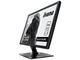 Монитори IIYAMA Black Hawk GE2488HS-B1