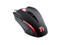 Мишки ТteSPORTS Black Element
