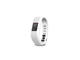 Смарт гривни Garmin vivofit 3 - бял, Regular