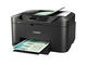 Принтери Canon Maxify MB2150