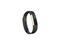 Смарт гривни Fitbit Alta Gold Black/Gold