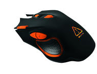 Мишки Canyon CND-SGM5N