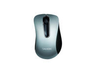 Мишки Canyon CNE-CMS3