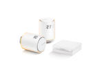 Smart Home Netatmo Smart Radiator Valves Starter Pack