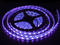 LED осветление ExtremePower UV Лилава LED Лента 5 метра SMD5050 72W