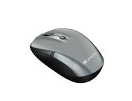 Мишки Canyon CNE-CMSW03DG