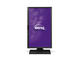 Монитори BenQ BL2423PT