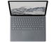 Лаптопи Microsoft Surface Platinium