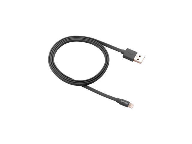 Кабели и Адаптери Canyon MFI-2 CNS-MFIC2DG
