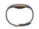 Смарт гривни Fitbit Charge 2 Blue/Grey, Rose Gold (Sport)