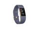 Смарт гривни Fitbit Charge 2 Blue/Grey, Rose Gold (Sport)