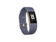 Смарт гривни Fitbit Charge 2 Blue/Grey, Rose Gold (Sport)