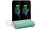 Външни батерии Fresh n Rebel Powerbank 9000 mAh, Peppermint