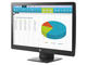 Монитори HP ProDisplay P203