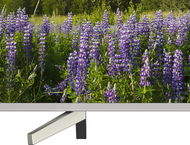 Телевизори Sony KD-43XF7077