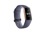 Смарт гривни Fitbit Charge 3, Rose Gold / Blue Gray
