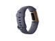 Смарт гривни Fitbit Charge 3, Rose Gold / Blue Gray