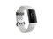 Смарт гривни Fitbit Charge 3 Special Edition, Graphite / White Silicone