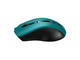 Мишки Canyon CNE-CMSW05G, в зелено