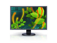 Монитори Eizo FlexScan EV2436W