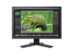 Монитори Eizo ColorEdge CG241W