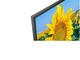 Телевизори Sony KD-43XF8096