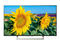 Телевизори Sony KD-55XF8096