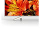 Телевизори Sony KD-55XF8577