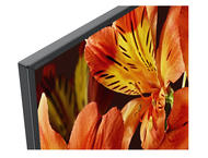 Телевизори Sony KD-49XF8505