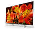 Телевизори Sony KD-55XF8596