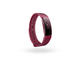 Смарт гривни Fitbit Inspire Sangria