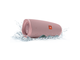 Колони JBL Charge 4 Pink
