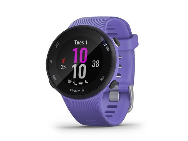 Смарт часовници Garmin Forerunner 45s Iris