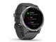 Смарт часовници Garmin Vivoactive 4 Shadow Gray/Silver