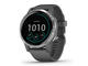 Смарт часовници Garmin Vivoactive 4 Shadow Gray/Silver