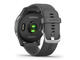 Смарт часовници Garmin Vivoactive 4 Shadow Gray/Silver