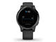 Смарт часовници Garmin Vivoactive 4S Black/Slate