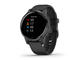 Смарт часовници Garmin Vivoactive 4S Black/Slate