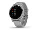 Смарт часовници Garmin Vivoactive 4S Powder Gray/Silver
