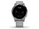 Смарт часовници Garmin Vivoactive 4S Powder Gray/Silver