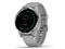 Смарт часовници Garmin Vivoactive 4S Powder Gray/Silver