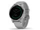 Смарт часовници Garmin Vivoactive 4S Powder Gray/Silver