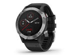 Смарт часовници Garmin Fenix 6 Silver with Black Band