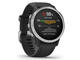 Смарт часовници Garmin Fenix 6S Silver with Black Band