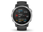 Смарт часовници Garmin Fenix 6S Silver with Black Band