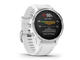 Смарт часовници Garmin Fenix 6S Silver with White Band