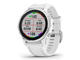 Смарт часовници Garmin Fenix 6S Silver with White Band