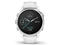 Смарт часовници Garmin Fenix 6S Silver with White Band