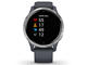 Смарт часовници Garmin Venu Silver Stainless Steel/Granite Blue