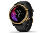 Смарт часовници Garmin Venu Gold Stainless Steel/Back